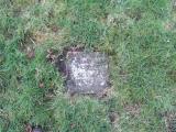 image of grave number 384389